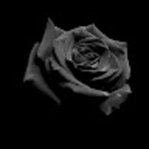 Meet your Posher, Justine